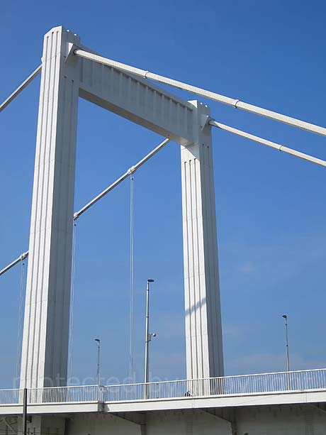 Podul elizabeta in Budapesta