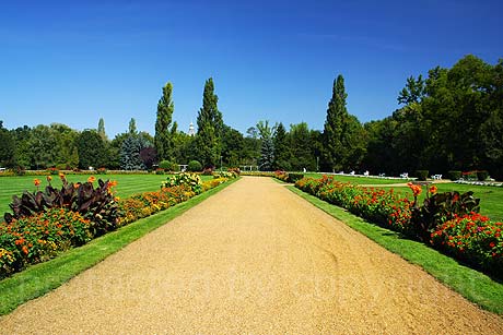 Parc in Budapesta foto